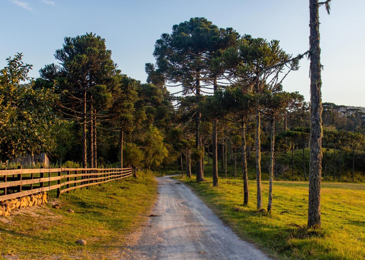 Hospedagem Rural Recanto Do Riacho Urubici Buitenkant foto