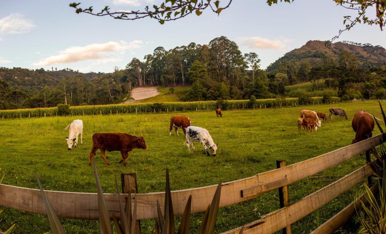 Hospedagem Rural Recanto Do Riacho Urubici Buitenkant foto
